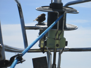 image022