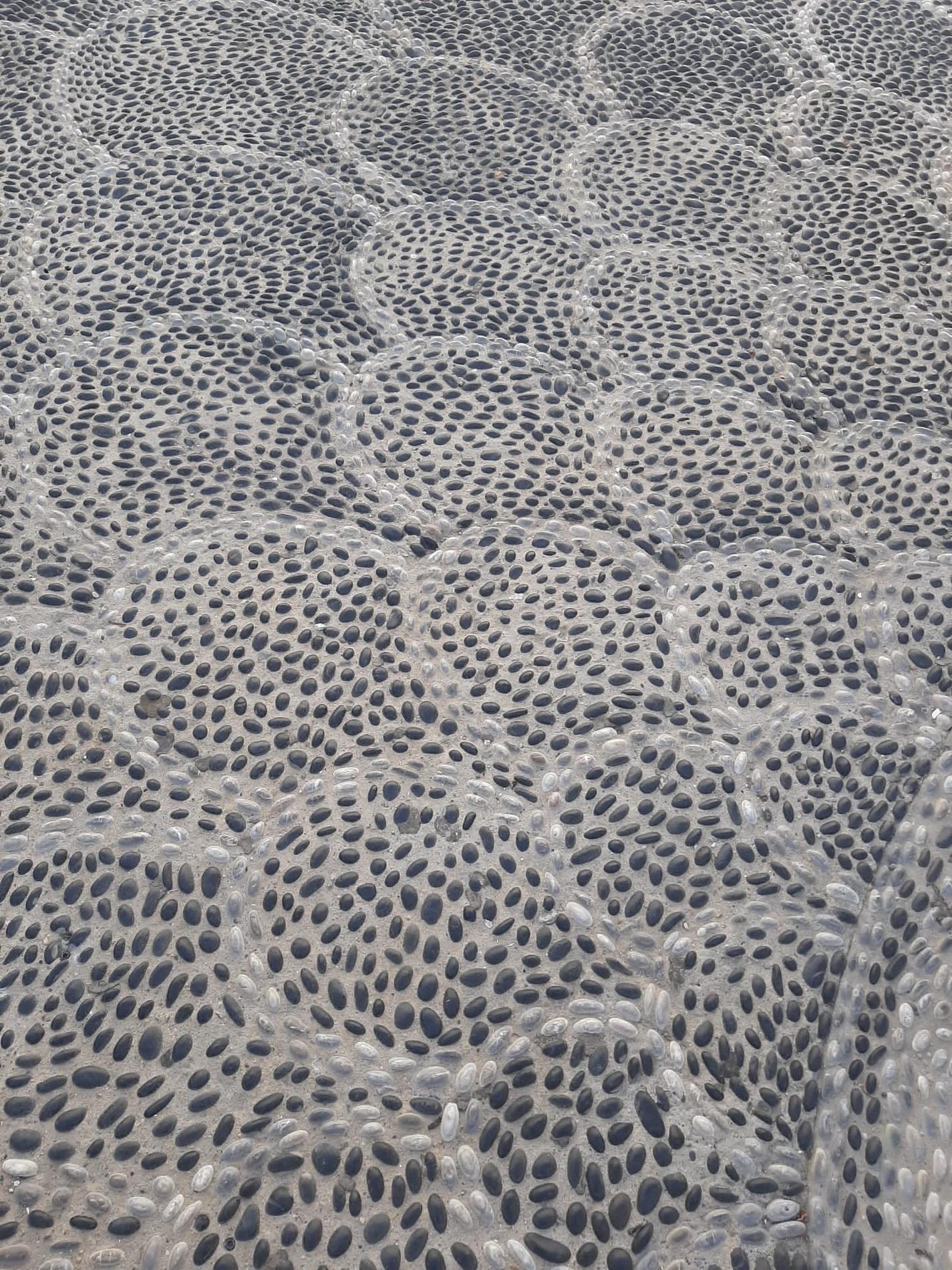 IMG-20210824-WA0031