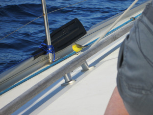 image023