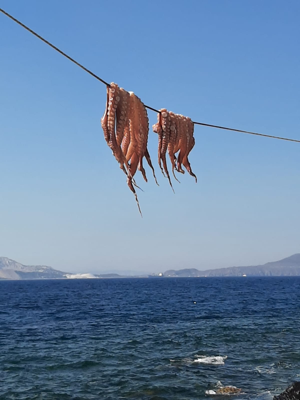 IMG-20210824-WA0016