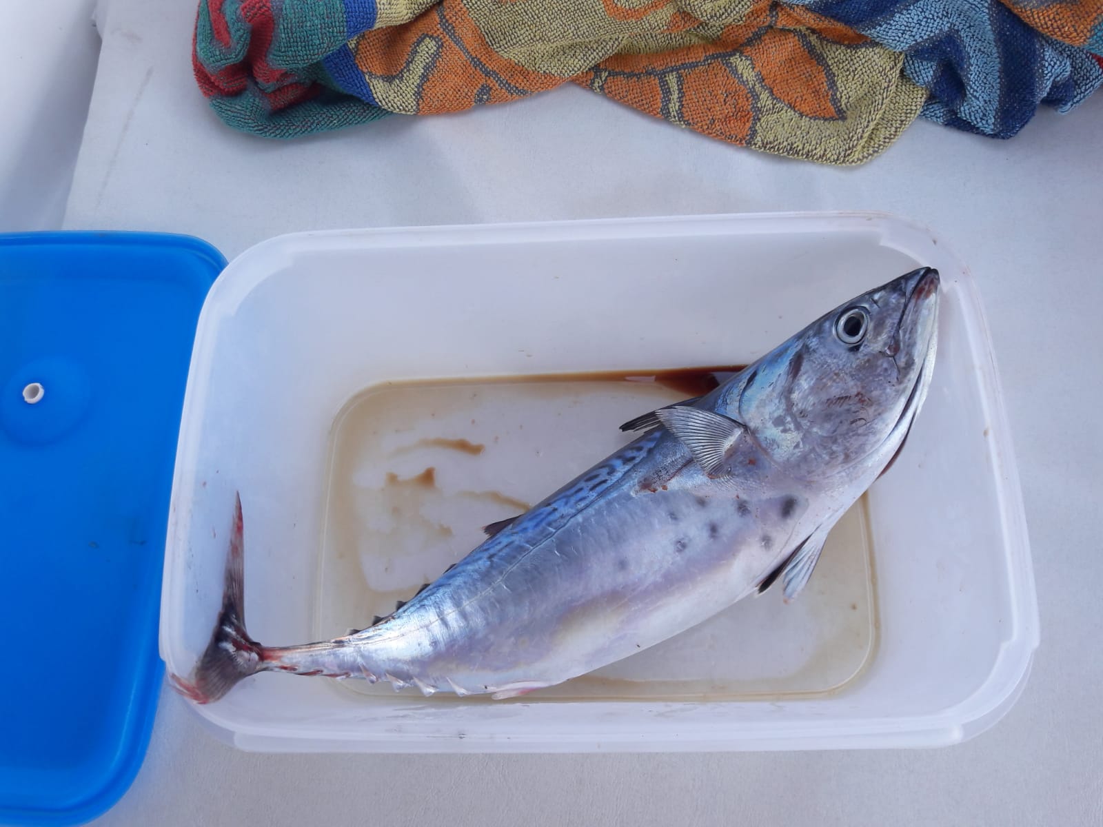IMG-20190829-WA0000