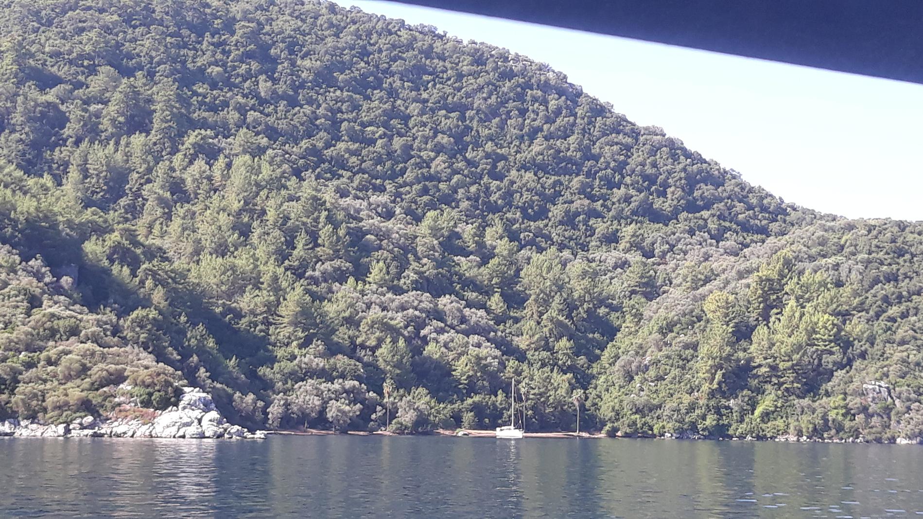 20190812_100258