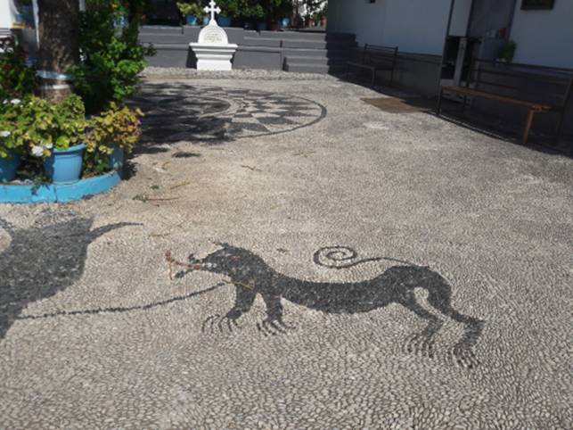 image276