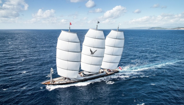 MALTESE-FALCON-1