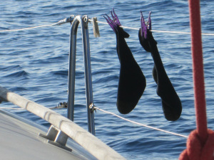 image020